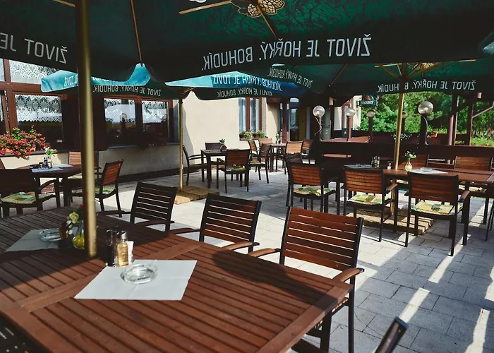 Отель Tosanovice Dolni Tosanovice