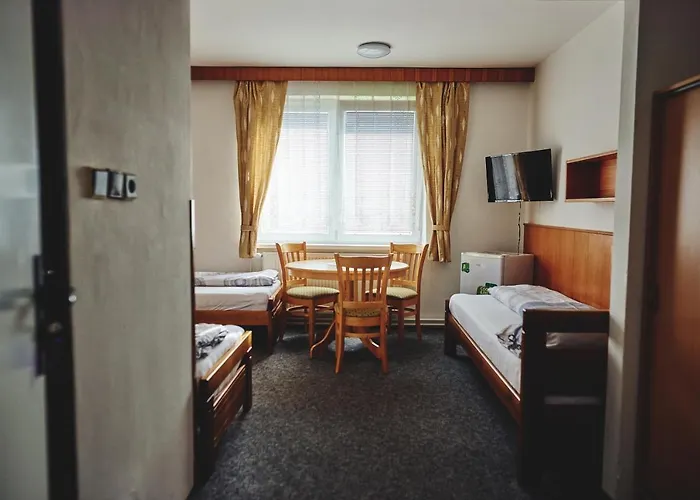 Отель Tosanovice 2*