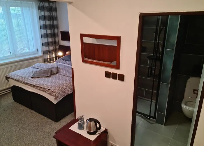 Отель Tosanovice Dolni Tosanovice